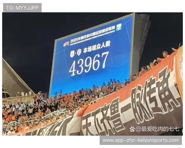 球迷对球队战术安排提出质疑，球迷对球队战术安排提出质疑怎么办