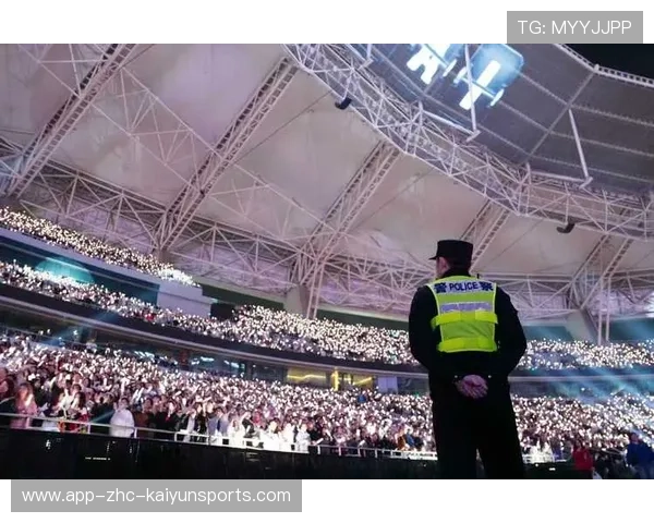 赛事安全：大型活动安保与突发事件应对案例回顾，大型活动安保问题及措施